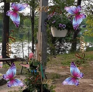 Meet your Posher, Kimberly